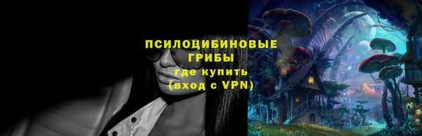 бошки Переславль-Залесский