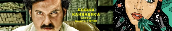 ALPHA PVP Осинники