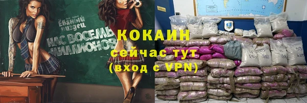 ALPHA PVP Осинники